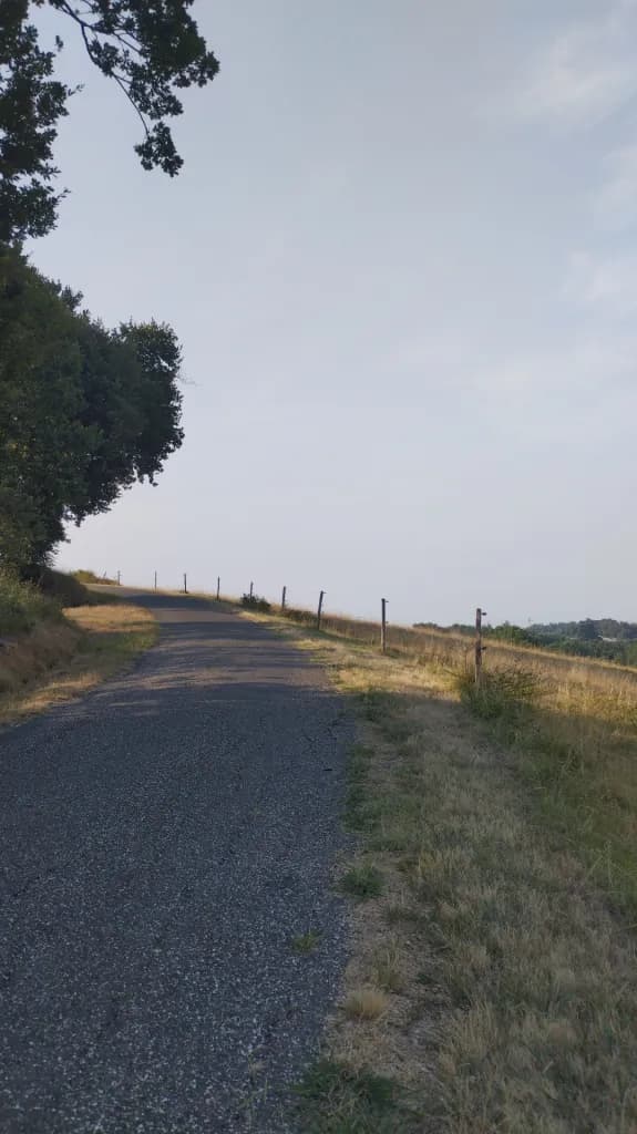 A country road lined with dry grass and fence posts, under a pale sky.