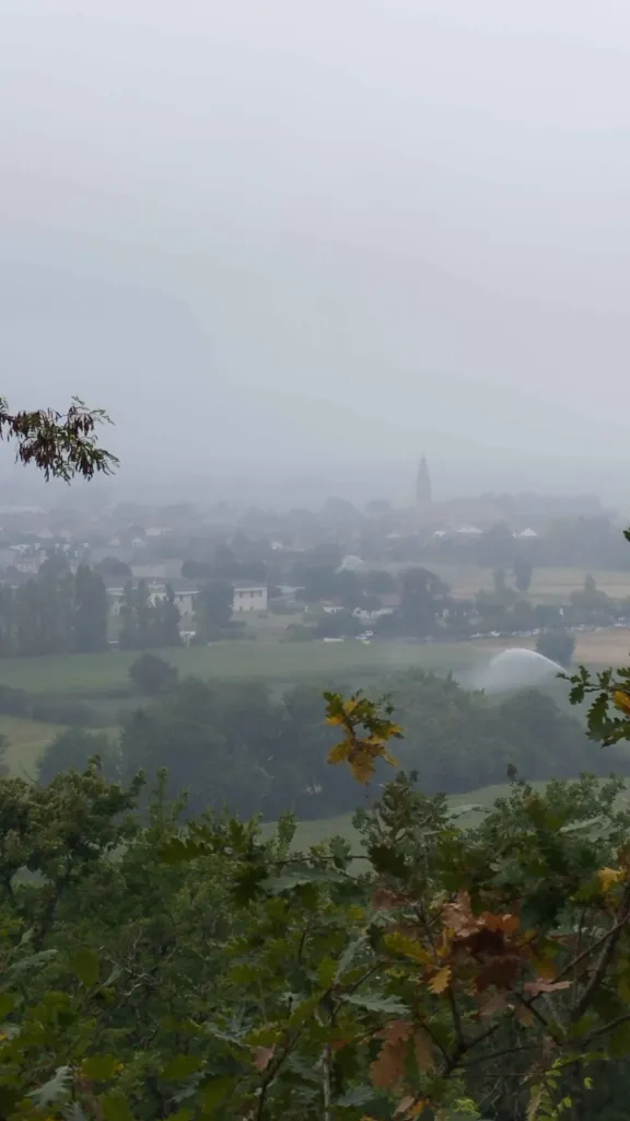 A village and its bell tower shrouded in mist, seen from a wooded hill.